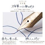 Sailor Shikiori Soraha Fountain Pen - Meigetsu