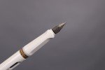 Lamy Safari White Fountain Pen with Fine Nib