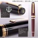 Sailor Professional Gear Raro Marun Fountain Pen
