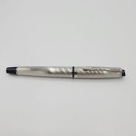 Waterman Expert Silver Brushed Rollerball Pen