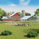 Luxury Large Outdoor Chicken Coop with Double Doors