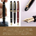 Sailor Raro Black Medium Point Fountain Pen