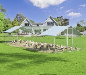 Stylish Large Outdoor Chicken Coop with UV Cover
