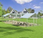 Stylish Large Outdoor Chicken Coop with UV Cover
