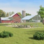 Stylish Large Outdoor Chicken Coop with UV Cover