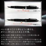 Sailor Profit Black Raster Fine Fountain Pen