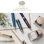 Sailor Shiki-ori Hisakata Fine Fountain Pen