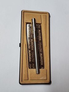 Aurora Marco Polo Silver and Gold Fountain Pen