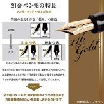 Sailor Pro Fit 21 White Fountain Pen - Medium