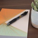 Pilot G2 Bold Black Gel Pens - 36 Pack