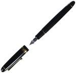 Pilot Custom 742 Fountain Pen with Black Body