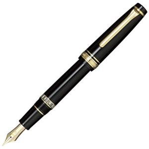 Sailor Learo Black Fine Point Fountain Pen