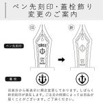 Sailor Learo Black Fine Point Fountain Pen