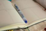 Sailor Plus Pro Gear Slim First Snow Edition