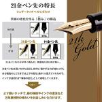 Sailor Profit 21 Zoom Fountain Pen - Black