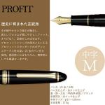 Sailor Profit Standard 21 Black Fountain Pen