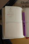 Lamy Al-Star Lilac Fountain Pen - Extra Fine