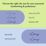 LAMY Safari Aquasky Fountain Pen with Ergonomic Grip