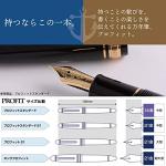 Sailor Pro Fit 21 Silver Black Fountain Pen