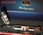 Montegrappa 50th Anniversary Moon Landing Fountain Pen