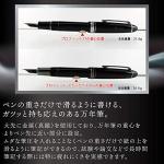 Sailor Pro Fit Black Luster Fountain Pen