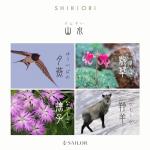 Sailor Shikiori Sansui Fountain Pen, Komagusa