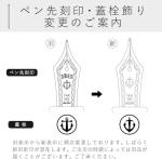 Sailor Professional Gear Slim Fountain Pen – Vega