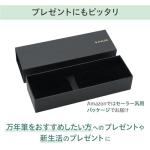 Sailor TUZU ADJUST Clear Navy Fountain Pen