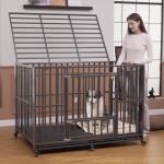 Polar Aurora Heavy Duty Folding Dog Crate