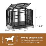 Polar Aurora Heavy Duty Folding Dog Crate
