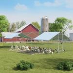 Polar Aurora Large Metal Chicken Coop Pen