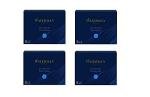 Waterman Blue Fountain Pen Cartridges - 8 Pack