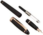 Aurora Ipsilon Fountain Pen in Rose Gold Black