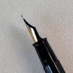 Waterman Phileas Green Marble Fountain Pen