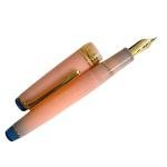 Sailor Pro Gear Slim Fountain Pen Set - Cherry Blossom