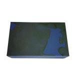 Sailor Pro Gear Slim Fountain Pen Set - Cherry Blossom