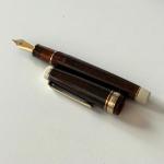 Sailor Pro Gear Black Velvet Fountain Pen - Fine