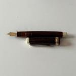 Sailor Pro Gear Black Velvet Fountain Pen - Fine