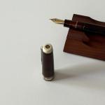 Sailor Pro Gear Black Velvet Fountain Pen - Fine
