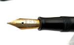 Waterman 56 BCHR Fountain Pen with 14K Flex Nib