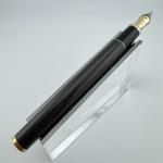 Sailor Profit 75th Anniversary Carbon Fiber Fountain Pen