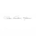 Parker Premier Monochrome Pink Gold Fountain Pen