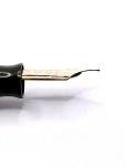 Waterman Patrician Fountain Pen - Nacre Finish