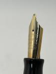 Waterman Hundred Year Fountain Pen - Emerald Green
