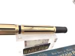Waterman 545 Night & Day Fountain Pen - 9K Gold
