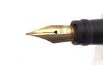 Waterman 545 Night & Day Fountain Pen - 9K Gold