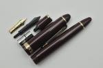 Sailor Profit Fountain Pen Burgundy 14K Nib