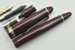 Sailor Profit Fountain Pen Burgundy 14K Nib