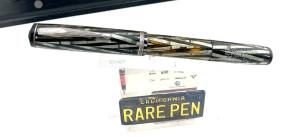 Waterman Ink-Vue Silver Ray Fountain Pen