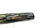 Waterman Ink-Vue Silver Ray Fountain Pen